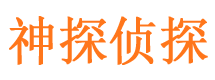 桃山市私人侦探